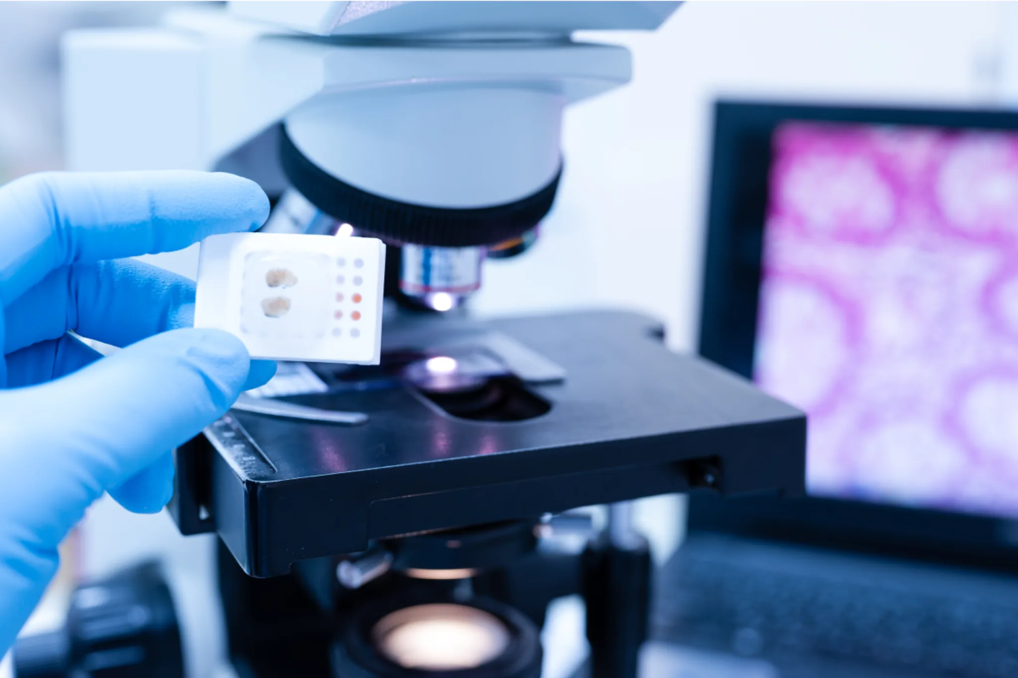 Contact Oncodiagnostic Maris Anapat din Târgu Mureș pentru pacienți, medici și clinici colaboratoare